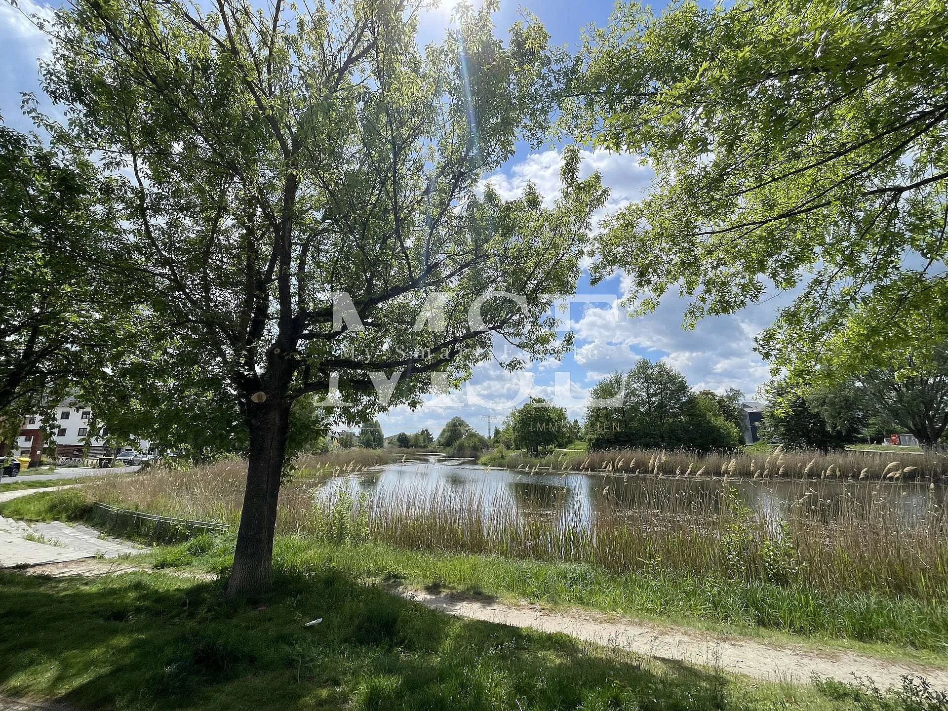 Weg am See